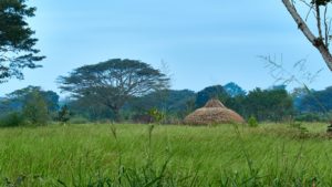 Tribal hut in grasslands