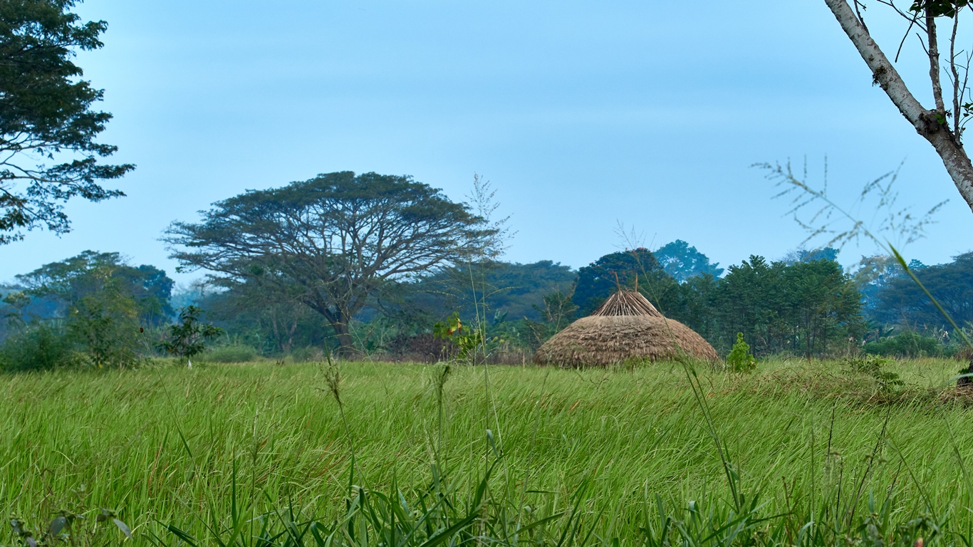 Tribal hut in grasslands