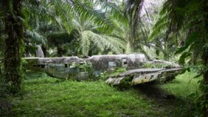 WWII Place wreck in forest jungle