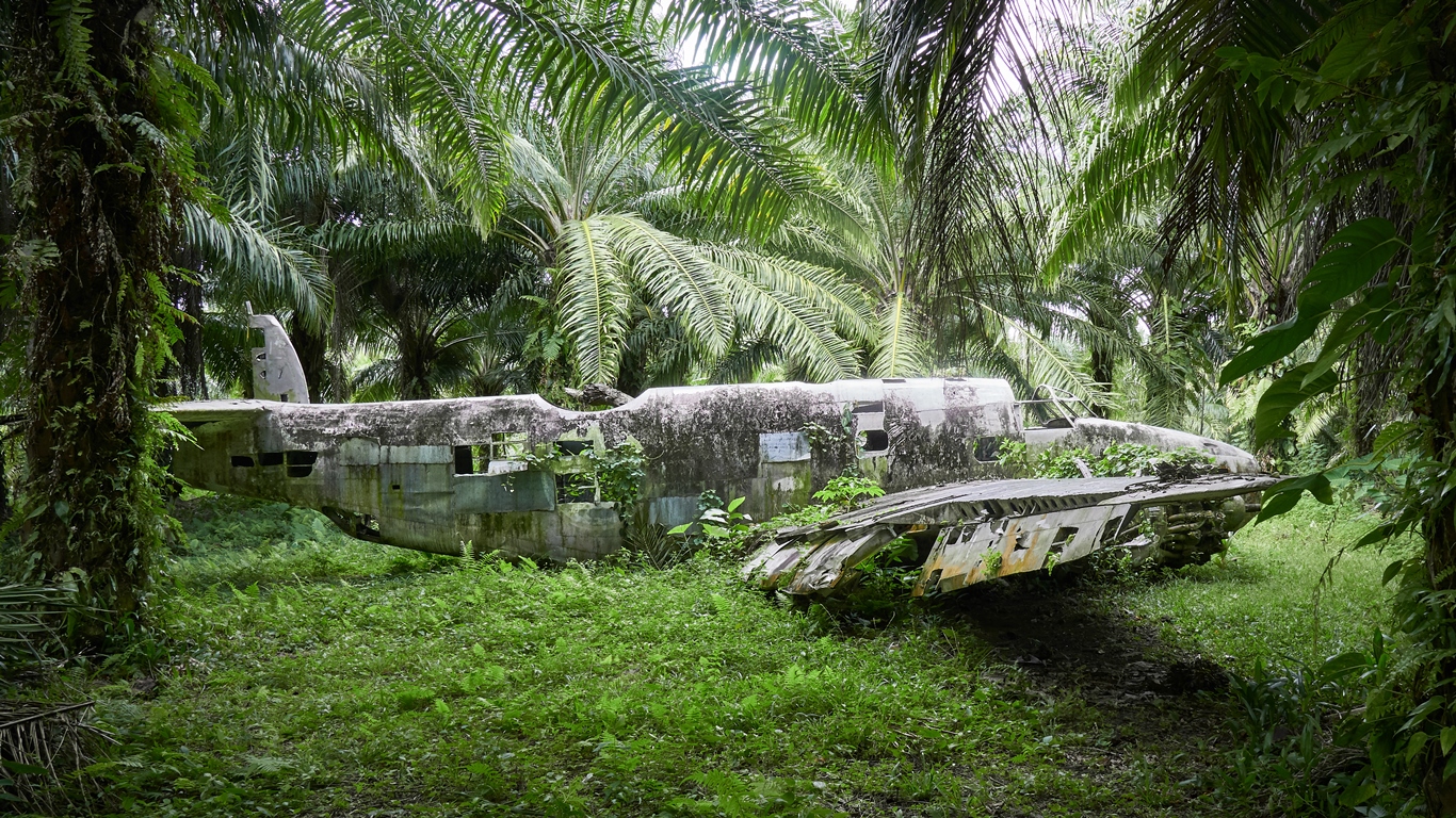WWII Place wreck in forest jungle