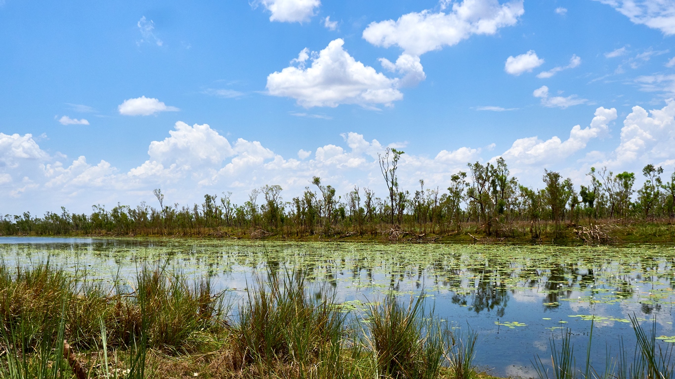 Linnmen National Park billabong