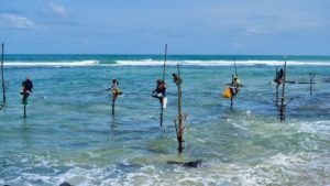 Pole fishermen on stilts in water