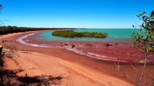 Read more about the article Winter Break Broome