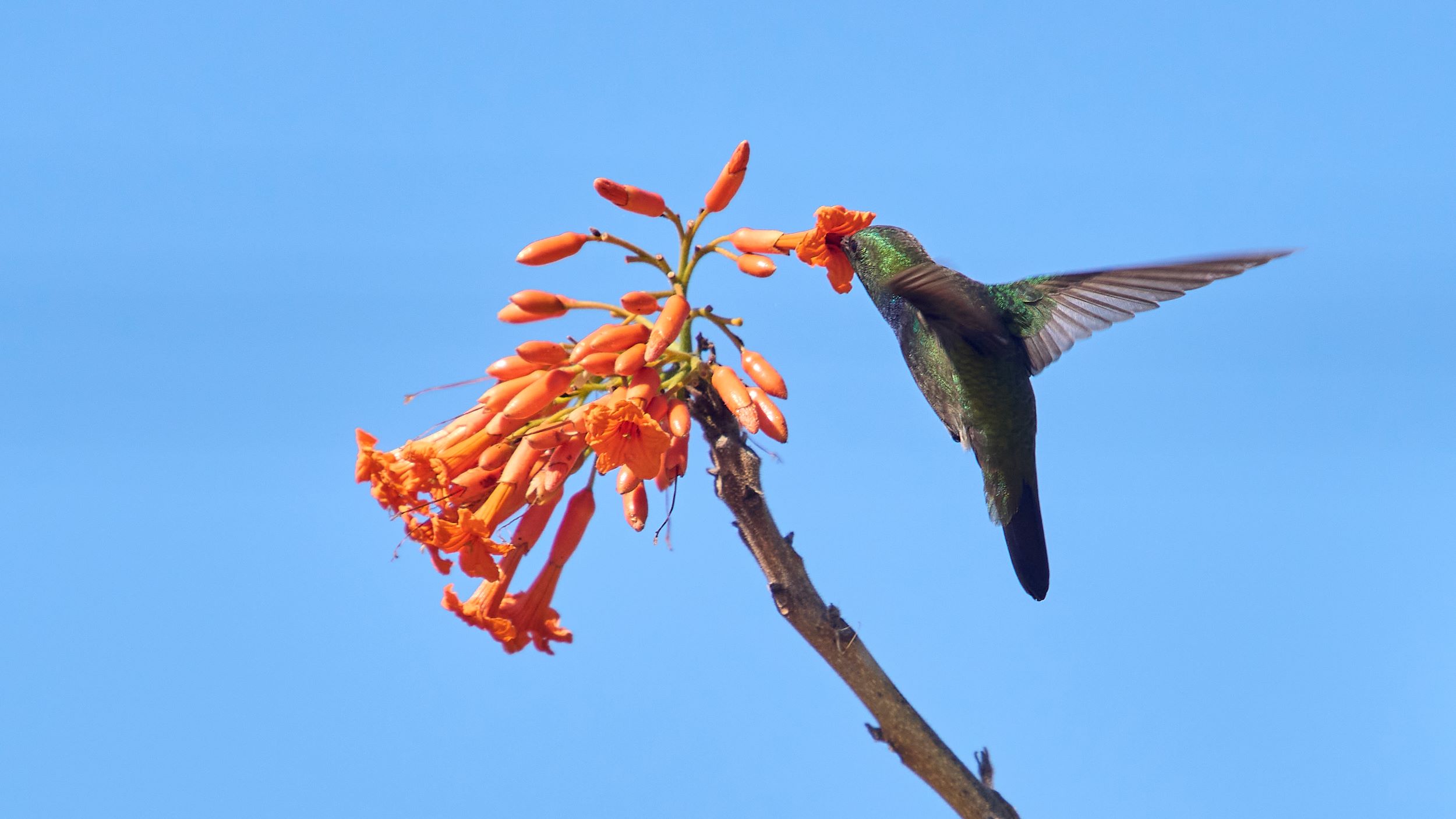 Read more about the article Puerto Rico Jaunt