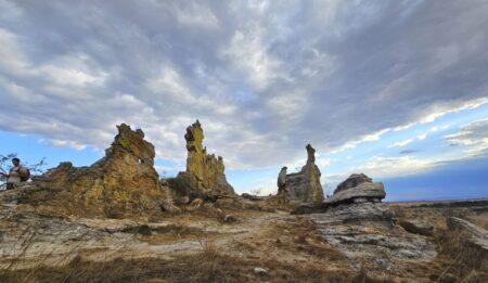 Read more about the article Wildlife, Gum Trees and Roads from Hell